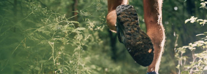 Carrera Nativa Trail Run